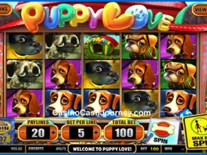 Slot Card Image for Puppy Love