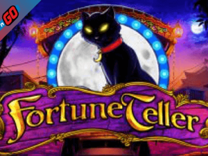 Slot Card Image for Fortune Teller