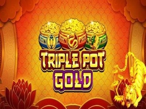 Slot Card Image for TRIPLE POT GOLD