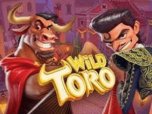 Slot Card Image for Wild Toro