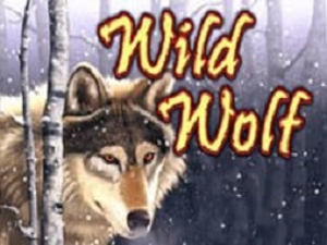 Slot Card Image for Wolf Run