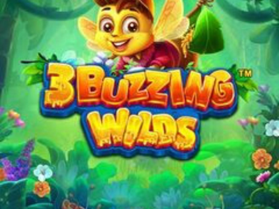 Slot Brand Image for Shinobi Spirit