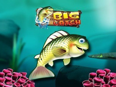 Slot Brand Image for Big Catch