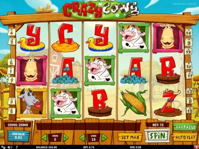 Slot Brand Image for Crazy Cows