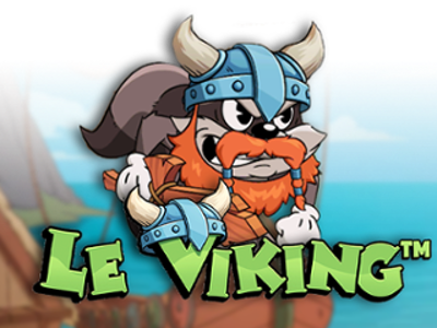 Slot Brand Image for Le Viking
