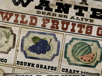 Slot Brand Image for Wild Fruits